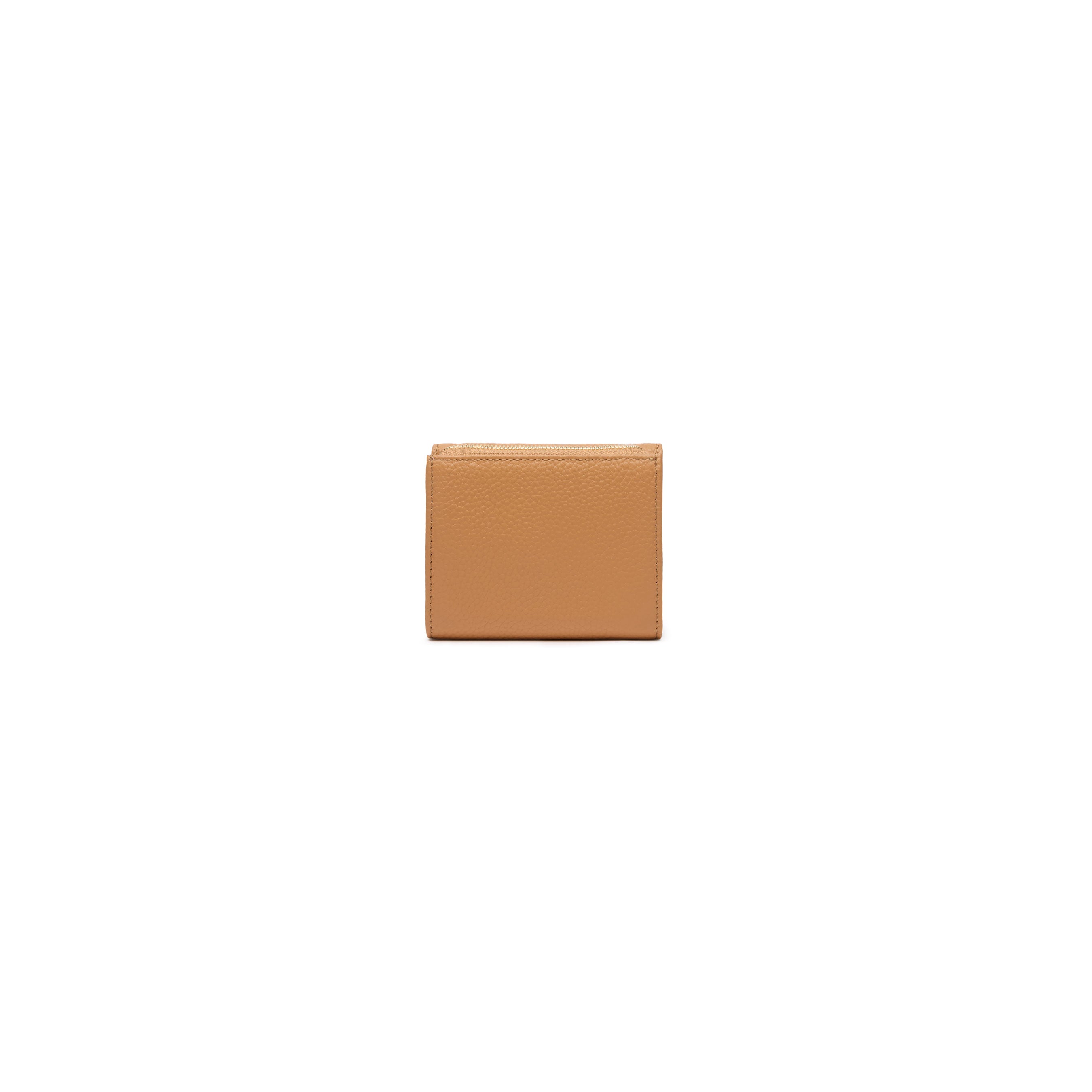 #Colore_Biscotto